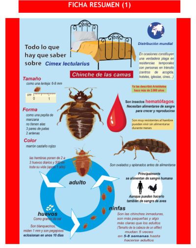 Consejos fumigacion guadalajara